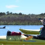 Charleston: Guided 2hr. Kayak Tour with a Tandem or Single - Practical Details and What to Expect