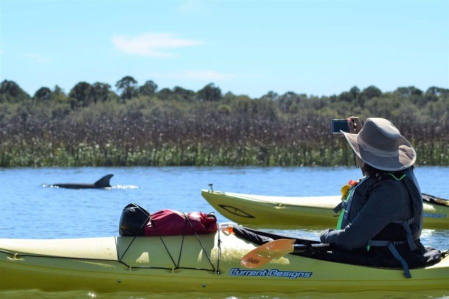 Charleston: Guided 2hr. Kayak Tour with a Tandem or Single - Practical Details and What to Expect