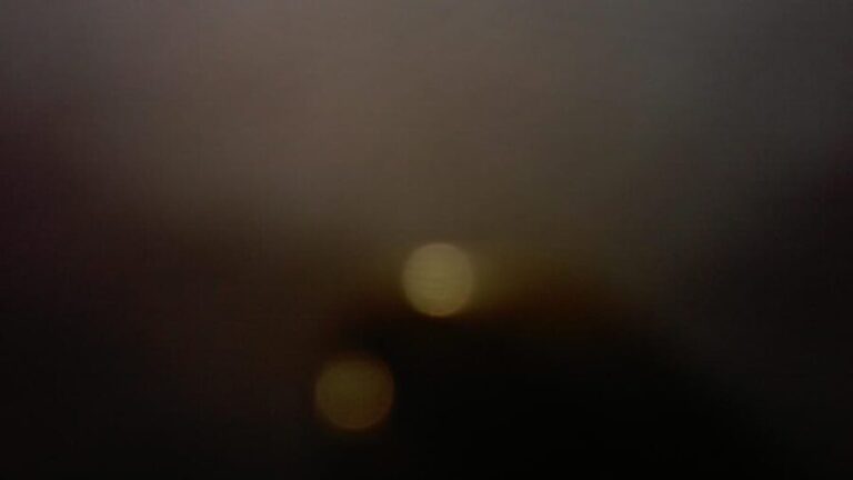 Charleston: Haunted Ghost Tour - A Spectral Adventure! - Who Will Enjoy This?