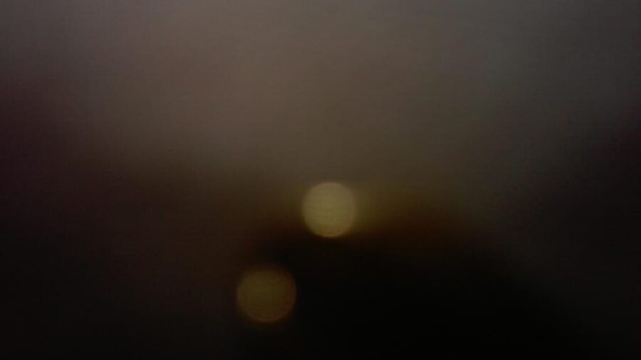 Charleston: Haunted Ghost Tour - A Spectral Adventure! - Who Will Enjoy This?