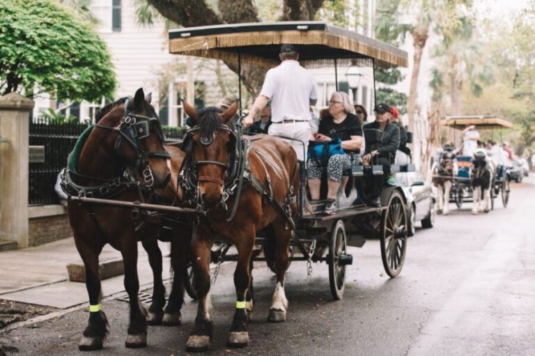 Charleston: Haunted Horse-Drawn Carriage Evening Tour - Who Will Love This Tour?