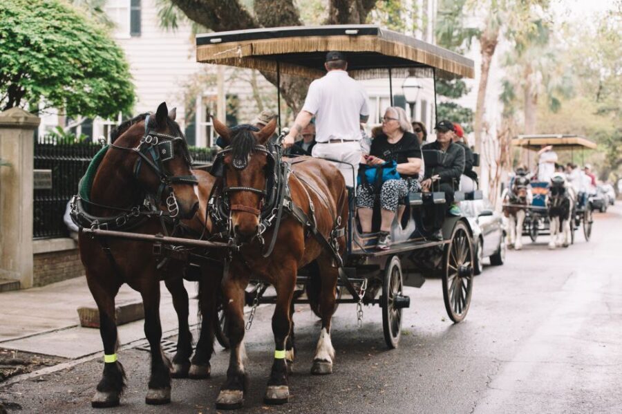 Charleston: Haunted Horse-Drawn Carriage Evening Tour - Who Will Love This Tour?