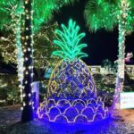 Charleston: Holiday Festival of Lights Tour with S'mores Kit - The Warmth of Smores and Holiday Spirit