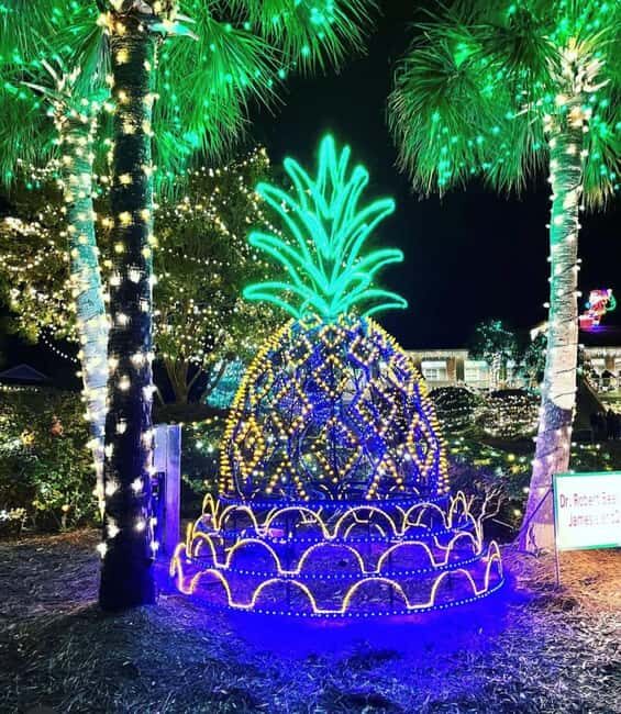 Charleston: Holiday Festival of Lights Tour with S'mores Kit - The Warmth of Smores and Holiday Spirit