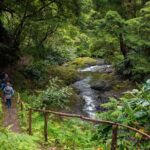 Chasing Waterfalls in the Azores - What to Expect on the Day