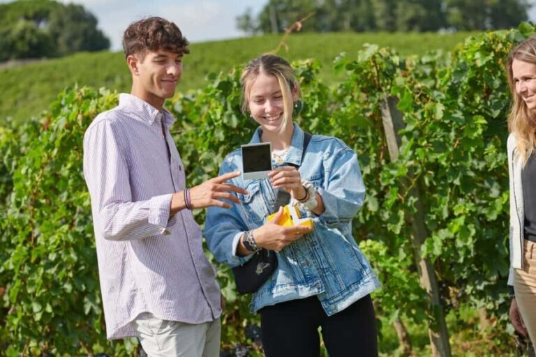 Château Fleur Cardinale: Panoramic Tour Walk through the vineyards - Who Will Appreciate This Tour?