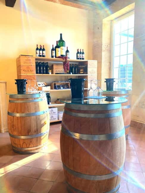 Château St-Emilion Grand Cru visit and Grand Cru and Pomerol tasting - Practical Details and What You Should Know