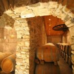 Château Villemagne: Tour of the cellar and tasting of our wines. - Practical Details and Why They Matter