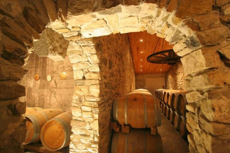 Château Villemagne: Tour of the cellar and tasting of our wines. - Practical Details and Why They Matter