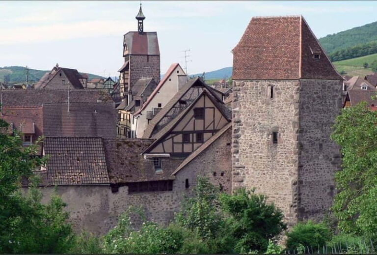 Check out the Heart of Alsace in Riquewihr - Practical Details & What to Expect