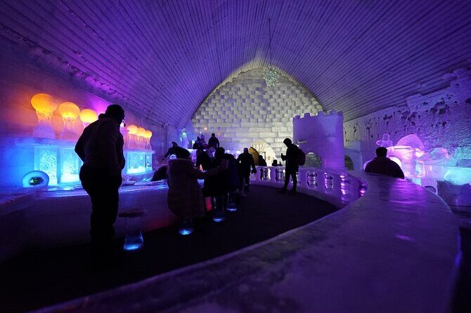 Chena Hot Springs plus Aurora Chase Tour - What’s Included During Your Time at Chena?