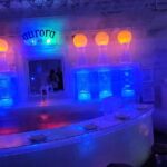 Chena Hot Springs Tour: Relax in Natural Mineral Waters - The Ice Museum: A Unique Arctic Wonderland