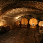 Chianti: Wine and Olive Oil Tasting with Cellar Tour - Final Thoughts on Value and Experience