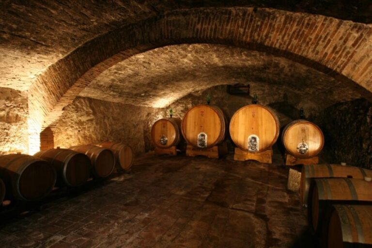Chianti: Wine and Olive Oil Tasting with Cellar Tour - Final Thoughts on Value and Experience