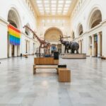 Chicago: Field Museum of Natural History Ticket or VIP Tour - Why This Tour Is Worth It