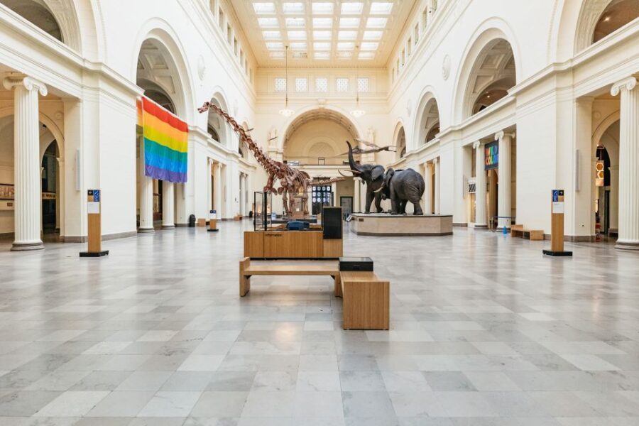 Chicago: Field Museum of Natural History Ticket or VIP Tour - Why This Tour Is Worth It