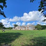 Chichen Itza Mayan Flavors and Jungle at Hacienda Privada with Cenote - Who Will Love This Tour?