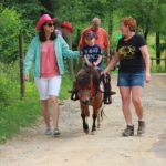 Children Mini Horse Rides - The Value of the Experience