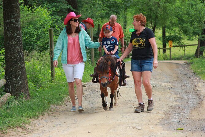 Children Mini Horse Rides - The Value of the Experience