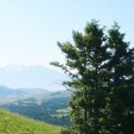 Chimney Rock Trail Ride - Pricing and Value Analysis