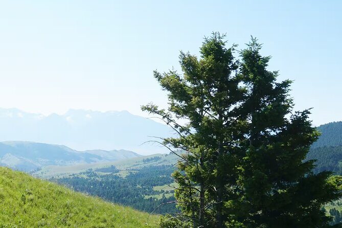 Chimney Rock Trail Ride - Pricing and Value Analysis