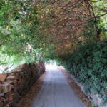 Chios: Kampos Private Walking Tour - FAQ
