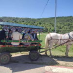 Chisinau: Cricova Wine tour &Old Orhei Archeological Complex - What Makes This Tour Special?