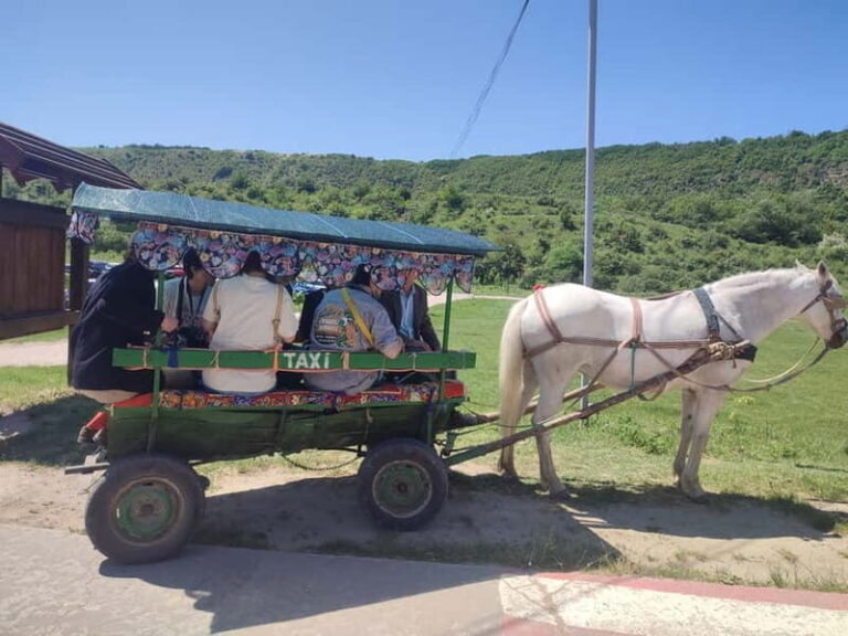 Chisinau: Cricova Wine tour &Old Orhei Archeological Complex - What Makes This Tour Special?