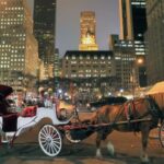 Christmas in New York: Holiday Lights Horse Carriage Ride - Who Should Consider This Tour?