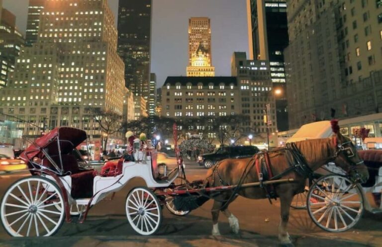 Christmas in New York: Holiday Lights Horse Carriage Ride - Who Should Consider This Tour?