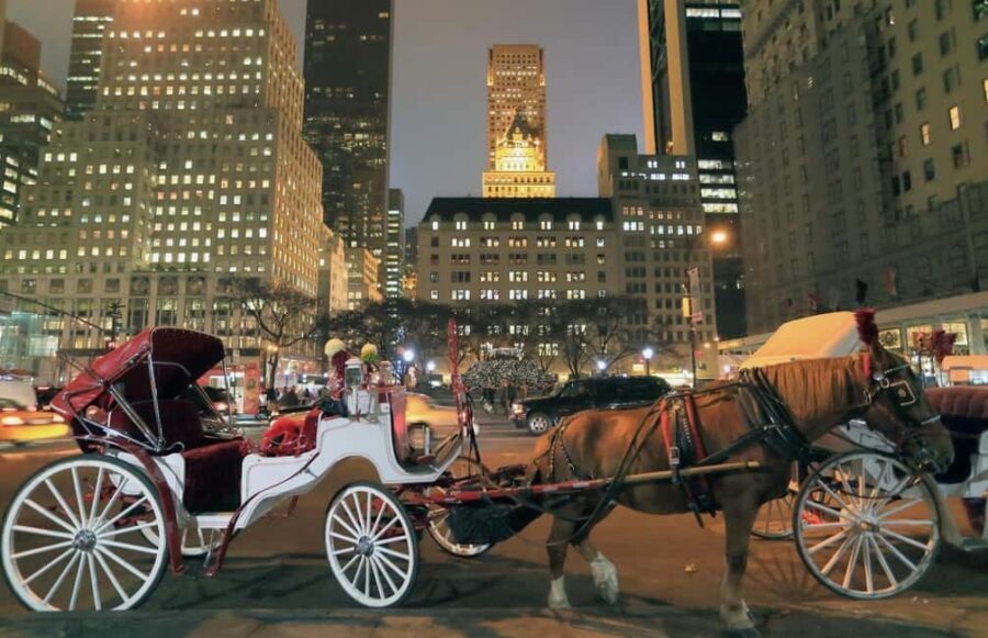 Christmas in New York: Holiday Lights Horse Carriage Ride - Who Should Consider This Tour?