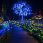 Christmas Lights Tour Butchart Gardens & City Tour in Victoria BC - Transportation, Group Size, and Practicalities