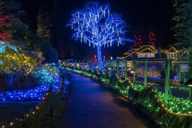 Christmas Lights Tour Butchart Gardens & City Tour in Victoria BC - Transportation, Group Size, and Practicalities
