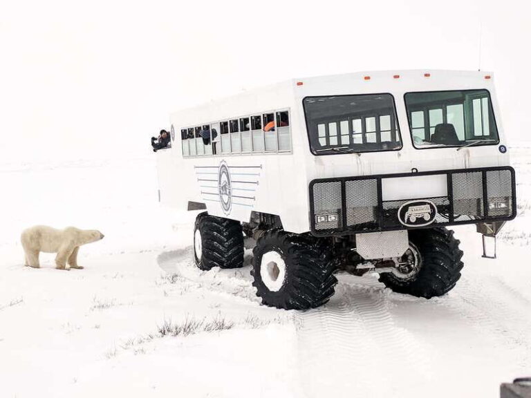 Churchill: Exclusive Tundra Buggy Day Trip - Who Will Love This Tour?