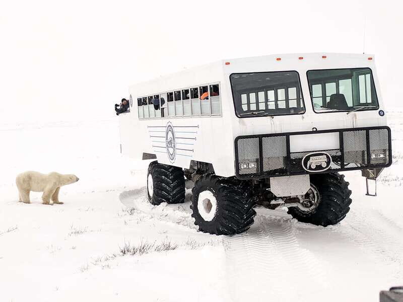 Churchill: Exclusive Tundra Buggy Day Trip - Who Will Love This Tour?