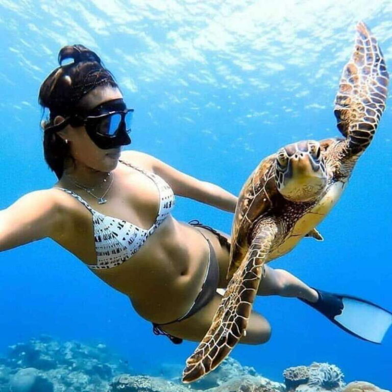 Cielo y Cielito With Transfer, Catamaran, 5 hours Open Bar and Lunch - Why the Tour Offers Good Value