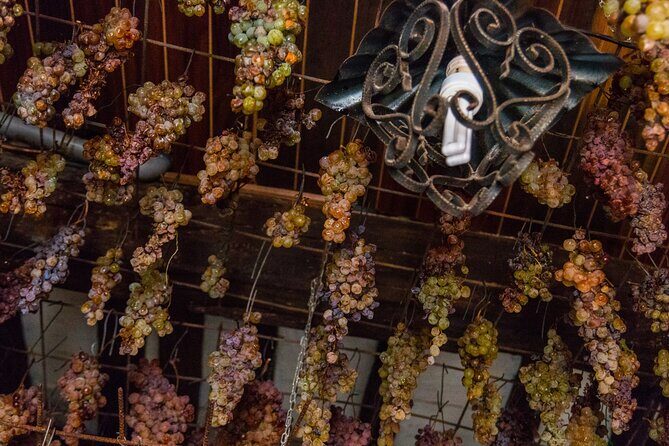 Cinque Terre Private Wine And Views Tour - Pricing and Value