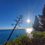 Cinque Terre Villages Walking panoramic tour - What Makes This Tour Stand Out?