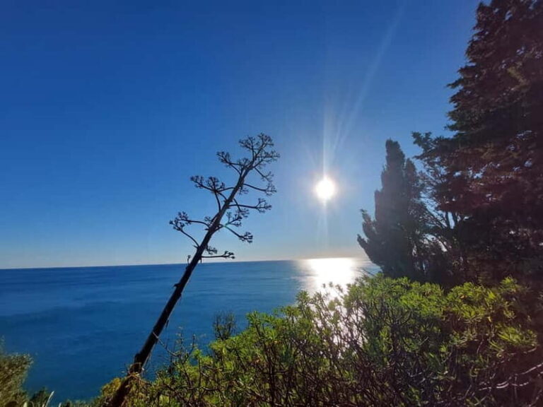 Cinque Terre Villages Walking panoramic tour - What Makes This Tour Stand Out?