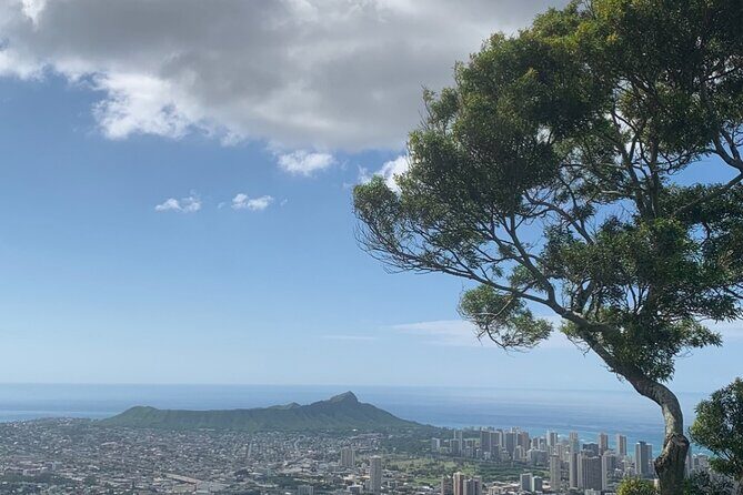 Circle Island Tour: Exclusively for Couples & Honeymooners - What Makes This Tour Stand Out?