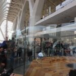 City of Arts and Sciences & Oceanografic 2.5h Guided Tour - Final Thoughts