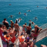 City Of Side: Dolphin Island Boat or Side Boat Tour Options - The Highlights of the Tour