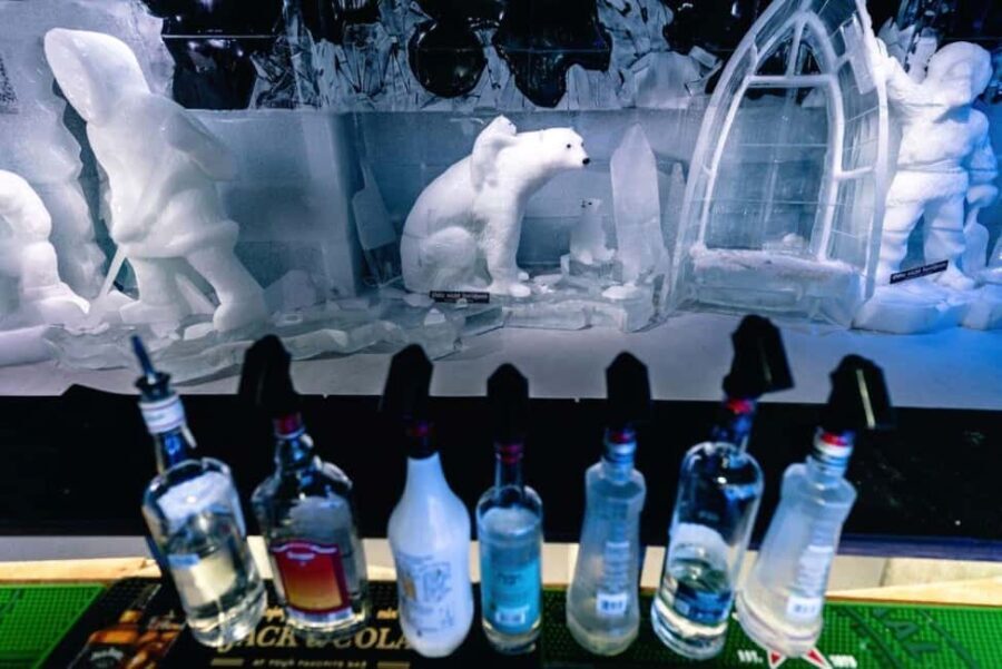 City Sightseeing Berlin: HOHO Bus - All Lines & Icebar - Who Is This Tour Best For?