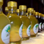 City tour Puerto Escondido - The Sum Up: Who is This Tour Best For?