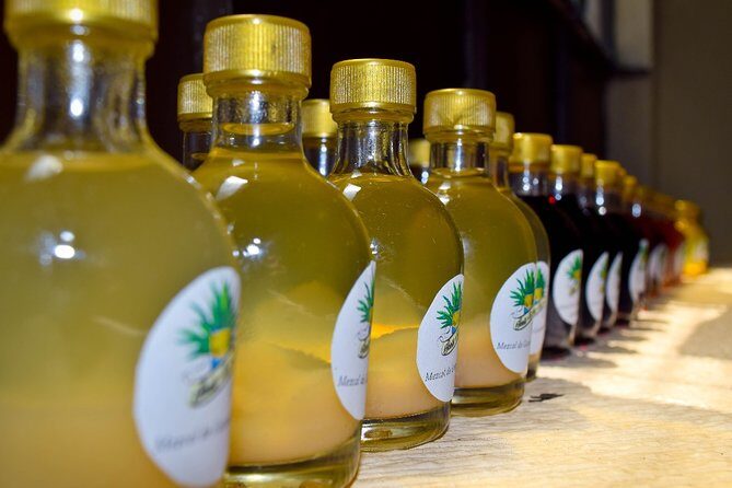 City tour Puerto Escondido - The Sum Up: Who is This Tour Best For?