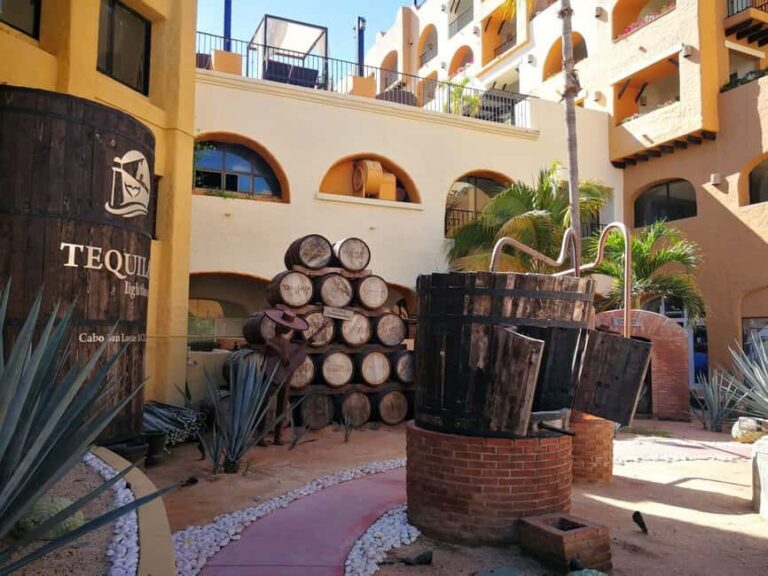 City Tour to Cabo San Lucas and Transparent boat to the Arch - The Details That Matter