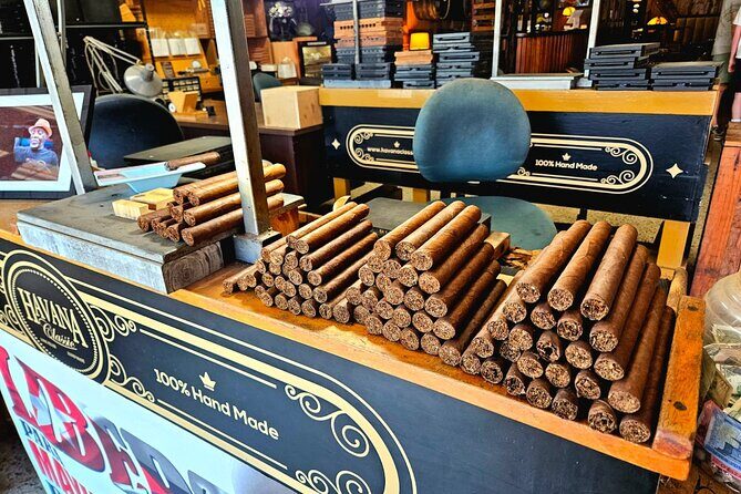 City Vibes & Bay Rides - Discovering Miami in Style: An In-Depth Look