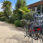 CITYBIKE/ easy Classic FOR 24 hours with Free delivery! - What You Can Expect from the Tour