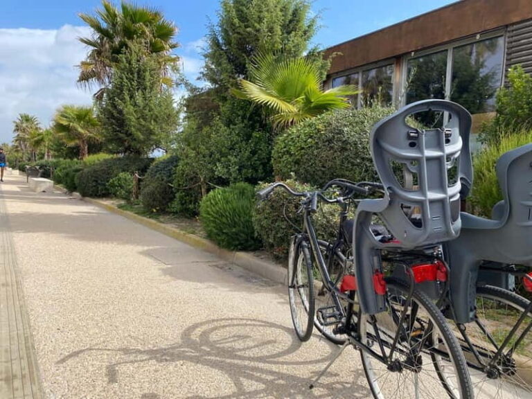 CITYBIKE/ easy Classic FOR 24 hours with Free delivery! - What You Can Expect from the Tour