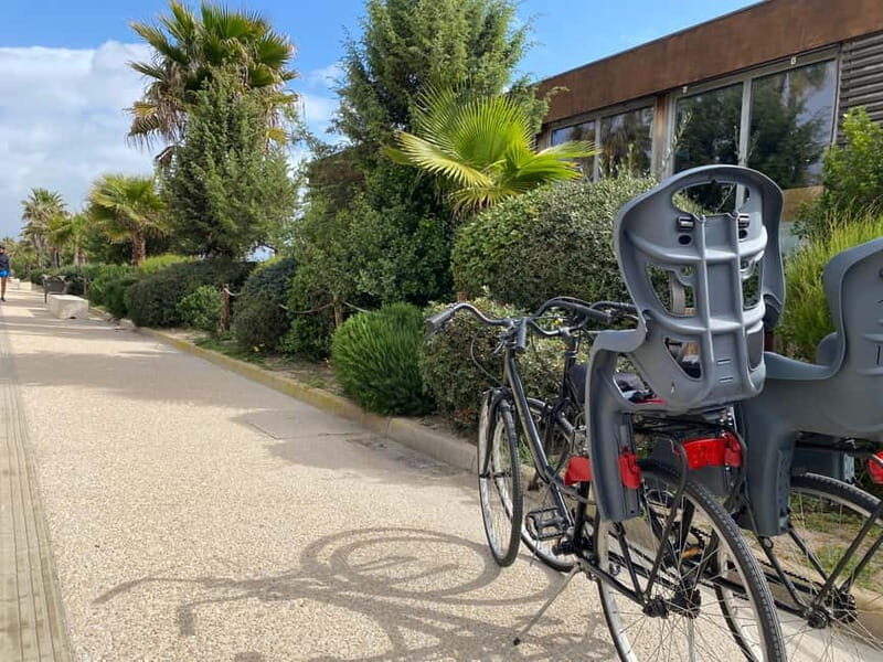 CITYBIKE/ easy Classic FOR 24 hours with Free delivery! - What You Can Expect from the Tour